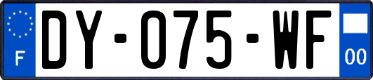 DY-075-WF