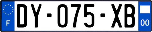 DY-075-XB