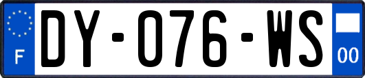 DY-076-WS