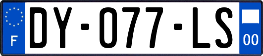 DY-077-LS