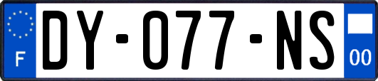 DY-077-NS