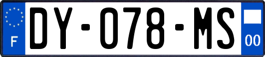 DY-078-MS