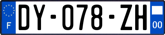 DY-078-ZH