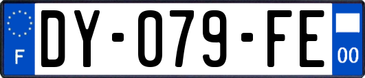 DY-079-FE