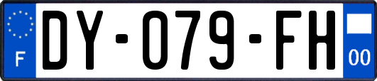 DY-079-FH