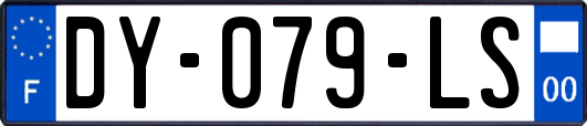 DY-079-LS