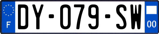 DY-079-SW