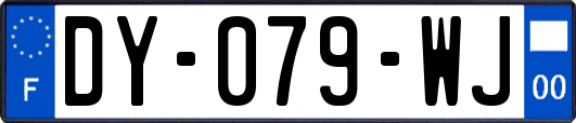 DY-079-WJ