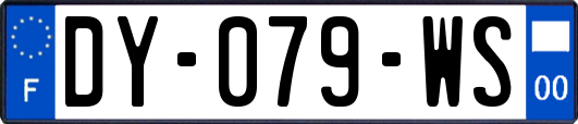 DY-079-WS