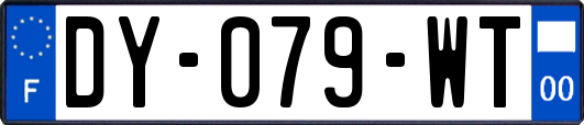 DY-079-WT