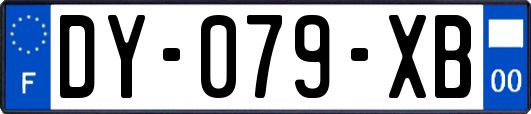 DY-079-XB