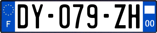 DY-079-ZH