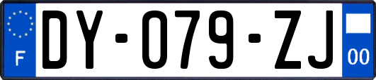 DY-079-ZJ