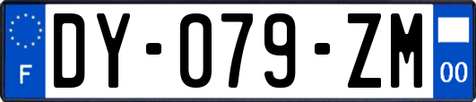 DY-079-ZM