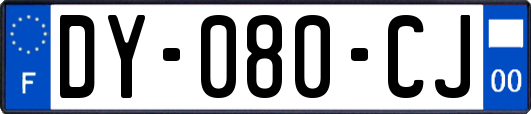 DY-080-CJ