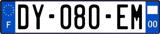 DY-080-EM