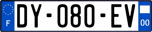 DY-080-EV