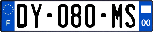 DY-080-MS