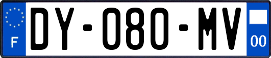 DY-080-MV