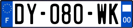 DY-080-WK