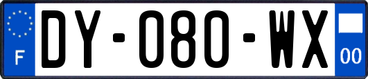 DY-080-WX