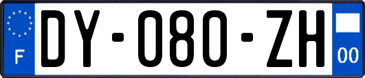 DY-080-ZH