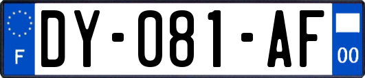 DY-081-AF