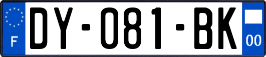 DY-081-BK