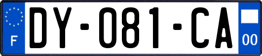 DY-081-CA