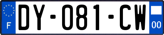 DY-081-CW