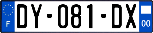 DY-081-DX