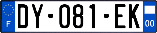 DY-081-EK