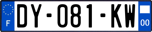 DY-081-KW