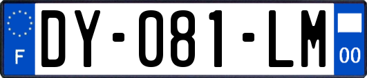 DY-081-LM