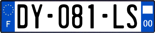 DY-081-LS