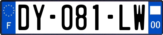 DY-081-LW