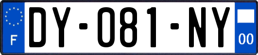 DY-081-NY