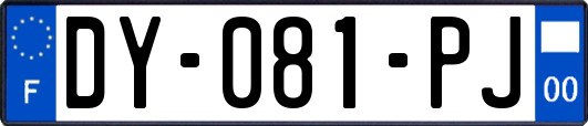 DY-081-PJ