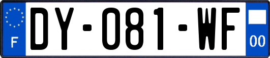 DY-081-WF