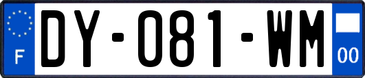 DY-081-WM