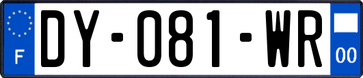 DY-081-WR