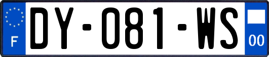 DY-081-WS