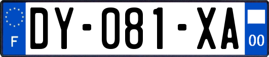 DY-081-XA