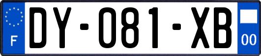 DY-081-XB