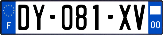 DY-081-XV