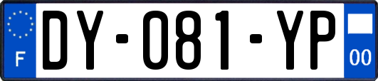 DY-081-YP