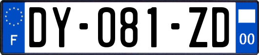 DY-081-ZD