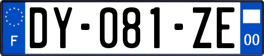 DY-081-ZE