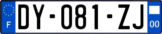 DY-081-ZJ