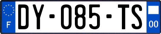 DY-085-TS